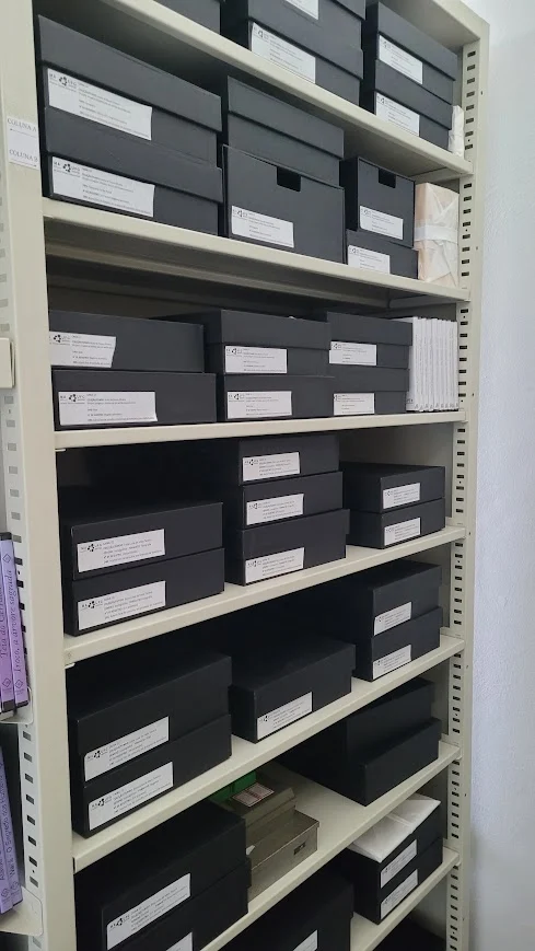 Estante com caixas de guarda de acervo identificadas por etiquetas